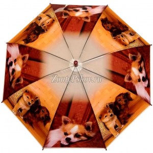 Стильный детский зонт с собаками, Zicco, полуавтомат, арт.105-3